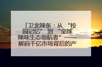 卫龙辣条：从 “校园记忆” 到 “全球辣味生态领航者”——解码千亿市场背后的产品创新与全链路破圈