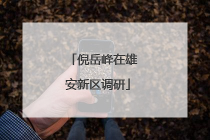 倪岳峰在雄安新区调研