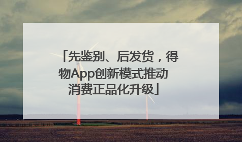 先鉴别、后发货，得物App创新模式推动消费正品化升级