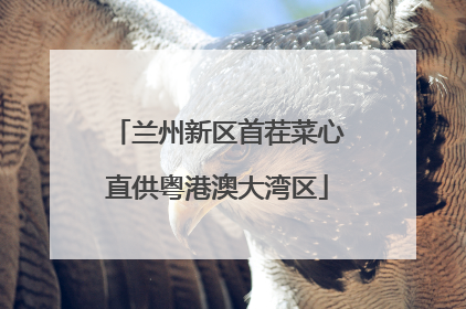兰州新区首茬菜心直供粤港澳大湾区