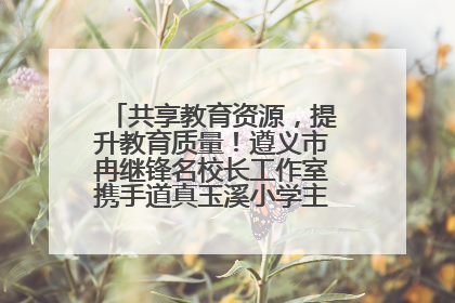 共享教育资源，提升教育质量！遵义市冉继锋名校长工作室携手道真玉溪小学主题研修出新出彩