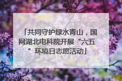 共同守护绿水青山，国网湖北电科院开展“六五”环境日志愿活动