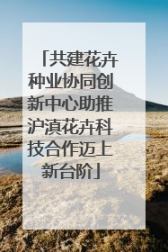 共建花卉种业协同创新中心助推沪滇花卉科技合作迈上新台阶