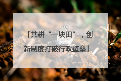 共耕“一块田”，创新制度打破行政壁垒