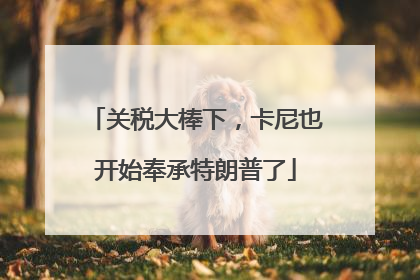 关税大棒下，卡尼也开始奉承特朗普了