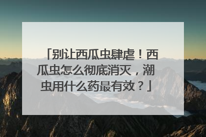 别让西瓜虫肆虐！西瓜虫怎么彻底消灭，潮虫用什么药最有效？