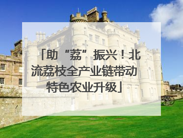 助“荔”振兴！北流荔枝全产业链带动特色农业升级