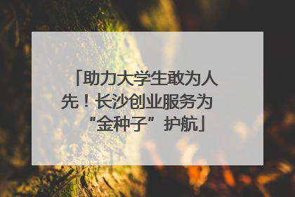 助力大学生敢为人先！长沙创业服务为“金种子”护航