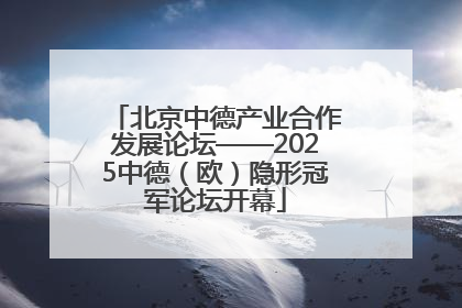 北京中德产业合作发展论坛——2025中德（欧）隐形冠军论坛开幕