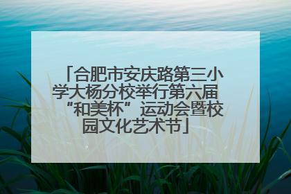 合肥市安庆路第三小学大杨分校举行第六届“和美杯”运动会暨校园文化艺术节