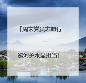 周末党员志愿行 巡河护水显担当
