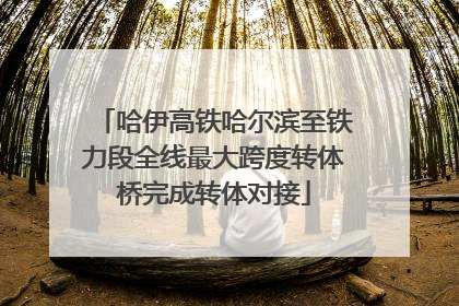 哈伊高铁哈尔滨至铁力段全线最大跨度转体桥完成转体对接