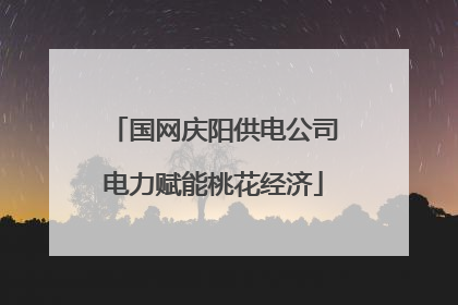 国网庆阳供电公司电力赋能桃花经济