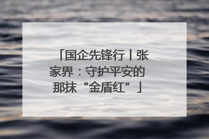 国企先锋行丨张家界：守护平安的那抹“金盾红”