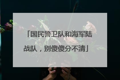 国民警卫队和海军陆战队，别傻傻分不清