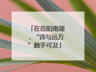 在岳阳南湖，“诗与远方”触手可及
