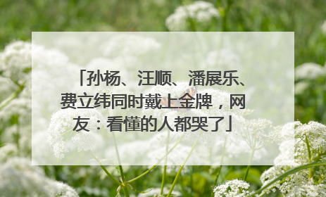 孙杨、汪顺、潘展乐、费立纬同时戴上金牌，网友：看懂的人都哭了