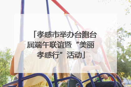孝感市举办台胞台属端午联谊暨“美丽孝感行”活动