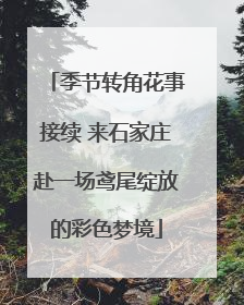季节转角花事接续 来石家庄赴一场鸢尾绽放的彩色梦境