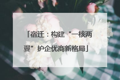 宿迁：构建“一核两翼”护企优商新格局