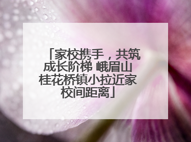 家校携手，共筑成长阶梯 峨眉山桂花桥镇小拉近家校间距离