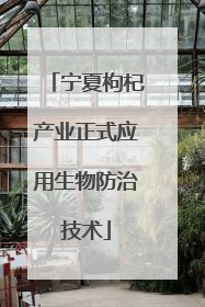 宁夏枸杞产业正式应用生物防治技术