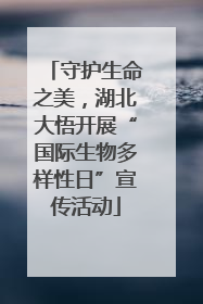 守护生命之美，湖北大悟开展“国际生物多样性日”宣传活动