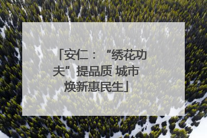 安仁：“绣花功夫”提品质 城市焕新惠民生