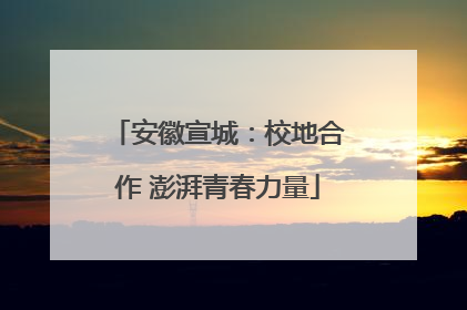 安徽宣城：校地合作 澎湃青春力量