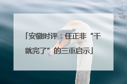 安徽时评：任正非“干就完了”的三重启示