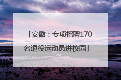安徽：专项招聘170名退役运动员进校园