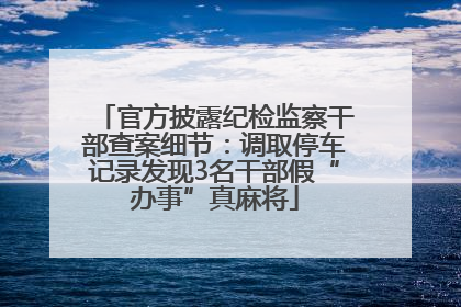 官方披露纪检监察干部查案细节：调取停车记录发现3名干部假“办事”真麻将