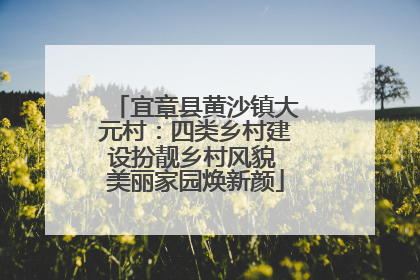宜章县黄沙镇大元村：四类乡村建设扮靓乡村风貌 美丽家园焕新颜