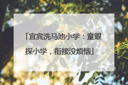 宜宾洗马池小学：童眼探小学，衔接没烦恼