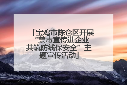 宝鸡市陈仓区开展“禁毒宣传进企业 共筑防线保安全”主题宣传活动