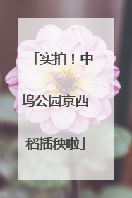 实拍！中坞公园京西稻插秧啦