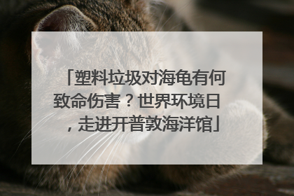 塑料垃圾对海龟有何致命伤害？世界环境日，走进开普敦海洋馆