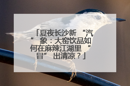 夏夜长沙新 “汽” 象：大窑饮品如何在麻辣江湖里 “冒” 出清凉？