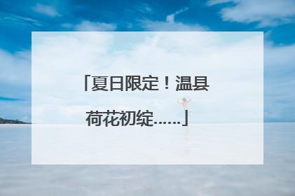 夏日限定！温县荷花初绽……