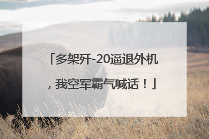 多架歼-20逼退外机，我空军霸气喊话！