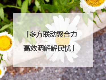 多方联动聚合力 高效调解解民忧