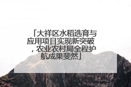 大祥区水稻选育与应用项目实现新突破，农业农村局全程护航成果斐然