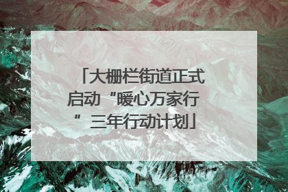 大栅栏街道正式启动“暖心万家行”三年行动计划