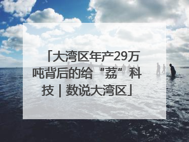 大湾区年产29万吨背后的给“荔”科技｜数说大湾区