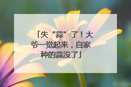 失“蒜”了！大爷一觉起来，自家种的蒜没了