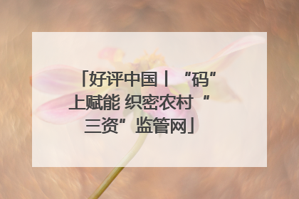 好评中国丨“码”上赋能 织密农村“三资”监管网