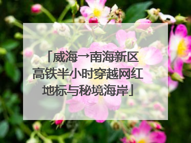 威海→南海新区 高铁半小时穿越网红地标与秘境海岸