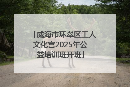威海市环翠区工人文化宫2025年公益培训班开班