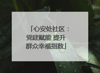 心安处社区：党建赋能 提升群众幸福指数