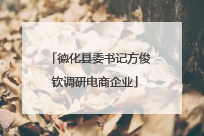 德化县委书记方俊钦调研电商企业